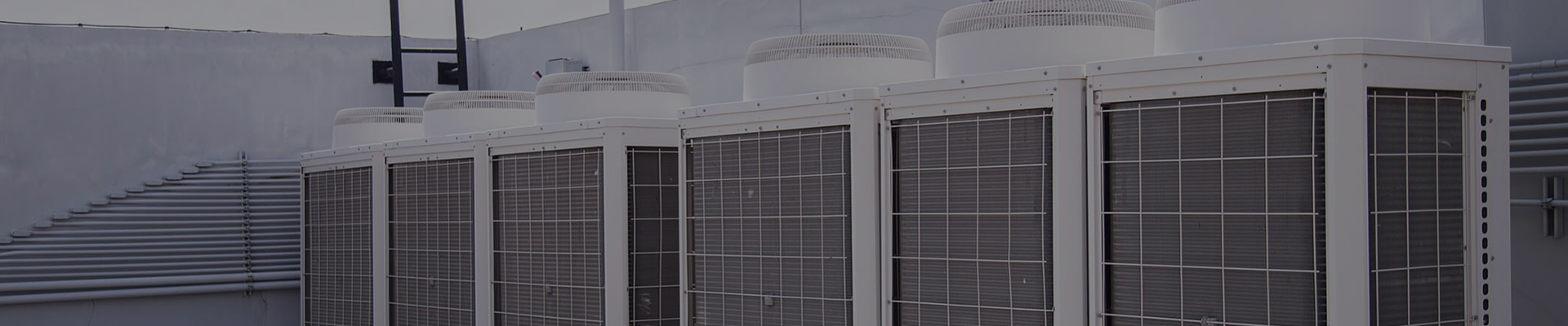 Цыси Чэньфэн Электрик Ко., Лтд